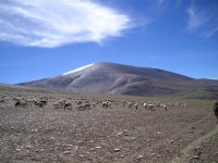 /album/ladack-inde-1/a062-08-ao%c3%bbt-2007-depart-pour-korzok-col-de-katse-et-yalyng-nyau4-jpg/